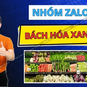 Danh sách 500+ link nhóm Zalo bách hóa xanh toàn quốc