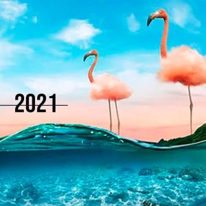 Hướng Dẫn Kích Hoạt Photoshop 2021 Thành Công 100%